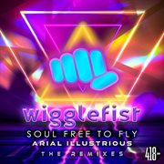 Soul Free To Fly cover image