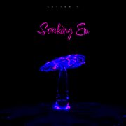 Soaking Em cover image