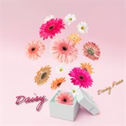 Daisy cover image
