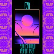 PERFECT WORLD PERFECT USER cover image