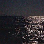 Drowning cover image