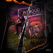 Persistent cover image