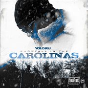 Snowfall in the Carolinas cover image