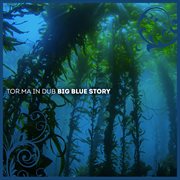 Big Blue Story cover image