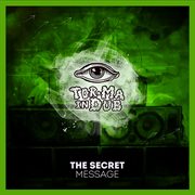 The Secret Message cover image