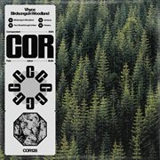 Birdsongs In Woodland cover image