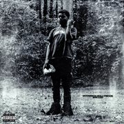 Hoodrich Hollywood cover image