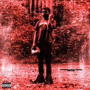 Hoodrich Hollywood cover image