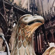 November cover image