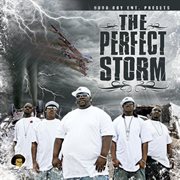 Perfect Storm cover image