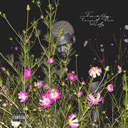 Finally Found The Words cover image