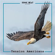 Tension Americana cover image