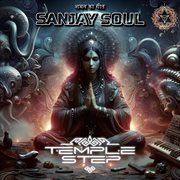 Temple Step Tribal Remixes cover image