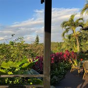 Music Diary Vol.9 cover image