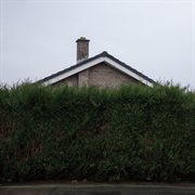 Still... At Their Very Best cover image