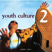 Youth Culture 2 cover image