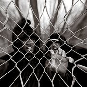 Beats For Brothels, Vol. 8 cover image