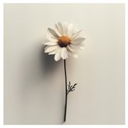 Um Novo Tempo cover image