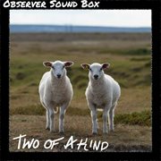 Two Of A Kind cover image