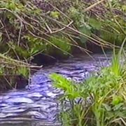 Meditation Tapes cover image