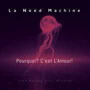 Pourquoi? C'est L'amour! cover image