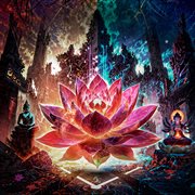 Awakening cover image