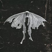 Mariposa cover image