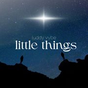 Little Things cover image