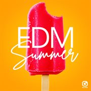 Edm Summer cover image