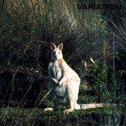 Variation cover image