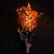 Time To Suffer cover image