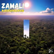 Mirrors cover image