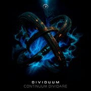 Continuum Dividare cover image