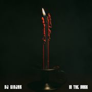 In The Dark cover image
