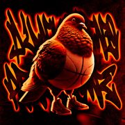 Dunkolino Piccione Funk cover image