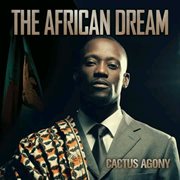The African Dream cover image