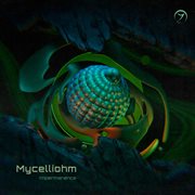 Impermanence cover image