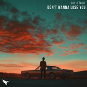 Don't Wanna Lose You cover image