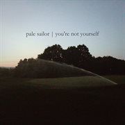 You're Not Yourself cover image