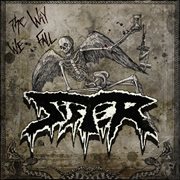 The Way We Fall cover image