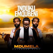 Induku Emqubeni cover image