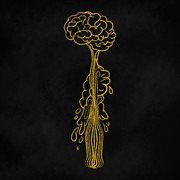 Tontonte cover image