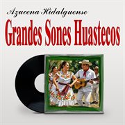 Grandes Sones Huastecos cover image