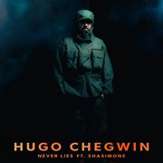 Never Lies cover image