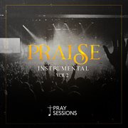 Praise Instrumental, Vol. 2 cover image