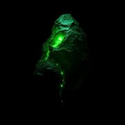 Open Wound cover image