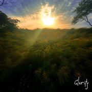 Clarity cover image