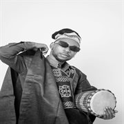 Wild Life cover image