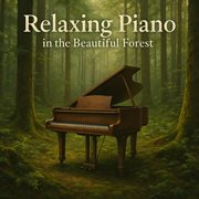 Relaxing Piano In The Beautiful Forest cover image