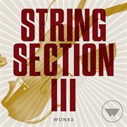 String Section Iii cover image